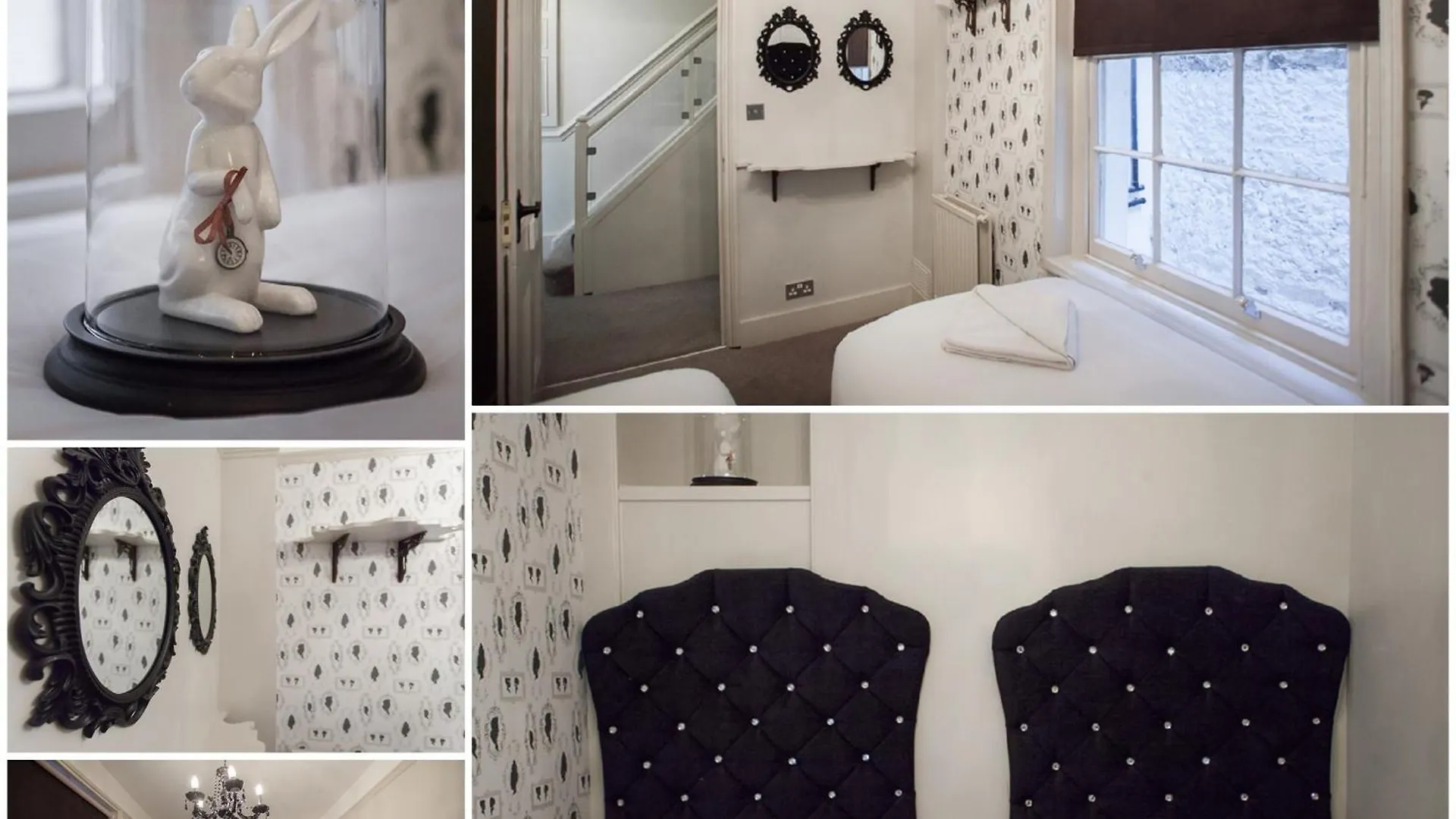 Willa Wonderland House Okręg wyborczy Hove